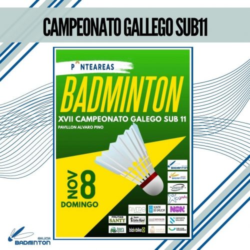 Lee más sobre el artículo Campeonato Gallego Sub11